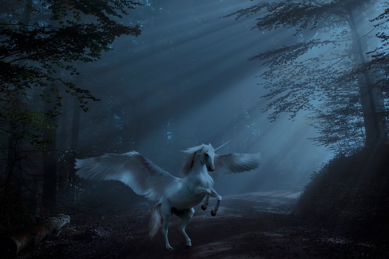 Unicorn Costume